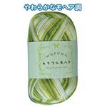 WAFUWA カラフルモヘア25g4緑白 段染 【5個セット】 23-525