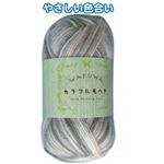 WAFUWA カラフルモヘア25g7茶あずき白 段染 【5個セット】 23-528