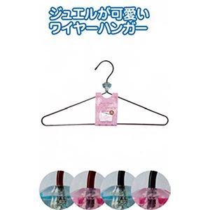 エクラ 洋服ハンガー 【12個セット】 44-029 商品画像