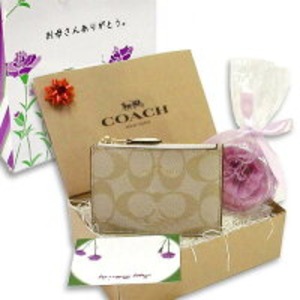 COACH 母の日 ギフトセット シグネチャー IDスキニー コインケース F16107IMDQCm19