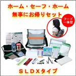 EX.ホーム・セーフ・ホーム SLDXタイプ