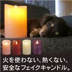 ムービングキャンドル ルナーテ パープル