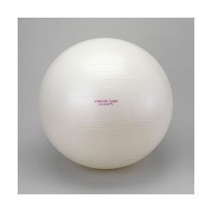 ALINCO エクササイズボール65cm・全身の筋力アップ・バランス感覚の向上に！EXG025 EXG025