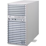 NEC Express5800／T110g-E（4C／E3-1220v3／4G／2HD／2-W2012R2） NP8100-2186YPJY