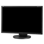 NEC 22型ワイド液晶ディスプレイ(黒) LCD-EA223WM-B3