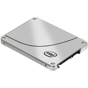 intel SSD DC S3500 Series (Wolfsville) 300GB BLK SSDSC2BB300G401