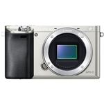 SONY デジタル一眼カメラ α6000 ボディ シルバー ILCE-6000/S