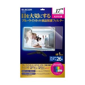 エレコム 液晶保護フィルター(ブルーライトカット)/17.0インチ(5:4)用 EF-17LGNBL