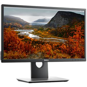 DELL プロフェッショナルシリーズ 21.5インチワイドモニタ P2217H