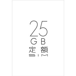 日本通信 b-mobile SIM 25GB定額 データ専用 マイクロSIMパッケージ BM-25GDM 商品画像