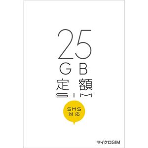日本通信 b-mobile SIM 25GB定額 データ+SMS付 マイクロSIMパッケージ BM-25GSM 商品画像
