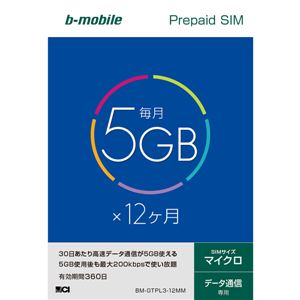日本通信 b-mobile 5GB×12ヶ月SIMパッケージ(マイクロSIM) BM-GTPL3-12MM 商品画像