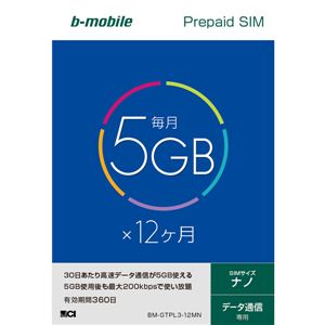 日本通信 b-mobile 5GB×12ヶ月SIMパッケージ(ナノSIM) BM-GTPL3-12MN