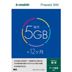 日本通信 b-mobile 5GB×12ヶ月SIMパッケージ(標準SIM) BM-GTPL3-12MS