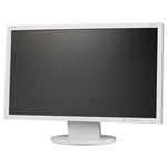 NEC 21.5型IPSワイド液晶ディスプレイ LCD-AS223WMI