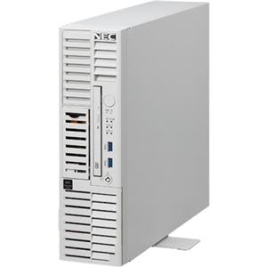 NEC Express5800/T110i-S(4C/E3-1220v6/8G/2HD-W2012R2) NP8100-2498YP8Y 商品画像