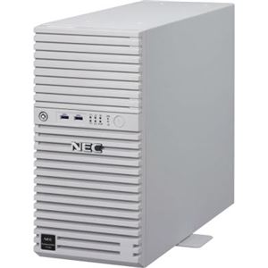 NEC Express5800/T110i(4C/E3-1220v6/4G/2HD-W2012R2)