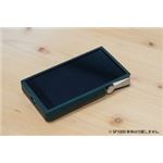 アイリバー Astell&Kern A&ultima SP1000 Case DeepGreen