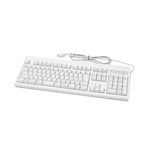 東プレ REALFORCE 108US / 統一荷重キーボード 30g / 静電容量無接点 / 108キー/ USB