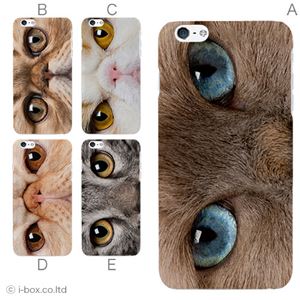 カラーE ハードケース iPhone6 plus ケース／アイフォン176／ハードケース／ハード／ docomo／au／SoftBank 対応 カバー ジャケット スマホケース phon6p_a18_518_e