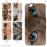 カラーE ハードケース iPhone6 plus ケース／アイフォン176／ハードケース／ハード／ docomo／au／SoftBank 対応 カバー ジャケット スマホケース phon6p_a18_518_e