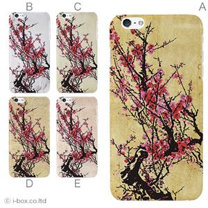 カラーE ハードケース iPhone6 plus ケース／アイフォン237／ハードケース／ハード／ docomo／au／SoftBank 対応 カバー ジャケット スマホケース phon6p_a33_532_e