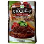 （まとめ買い）三育 デミグラスソース風野菜大豆バーグ 100g×16セット
