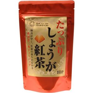 （まとめ買い）たっぷりしょうが紅茶 20g×10P×10セット