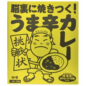 （まとめ買い）脳裏に焼きつく!うま辛カレー 中辛 一人前 160g×29セット