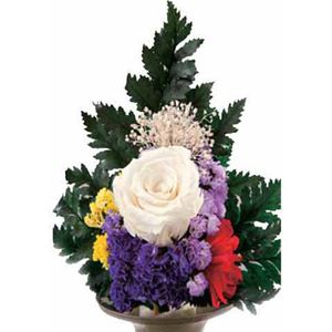プリザーブド仏花 洋彩 高さ約25cm - 拡大画像