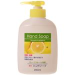 （まとめ買い）薬用ハンドソープ グレープフルーツの香り 本体 250ml×14セット