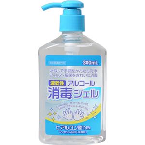 （まとめ買い）エタッシュハンド消毒ジェル 300ml×2セット