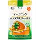 (まとめ買い)オーガニックベジタブルカレールウ 中辛 120g×12セット