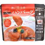 （まとめ買い）神戸開花亭 芳醇煮込みハンバーグ トマトソース 190g×10セット