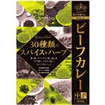 （まとめ買い）国立薬膳カレー ビーフカレー 30種類のスパイス&ハーブ 200g×10セット