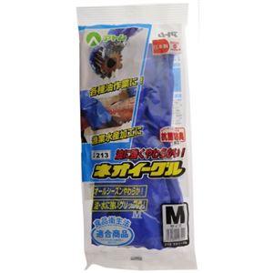 （まとめ買い）ネオイーグル M×10セット