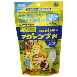 （まとめ買い）マグァンプK 大粒 250g×10セット