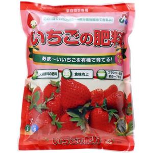 （まとめ買い）朝日工業 いちごの肥料 550g×13セット