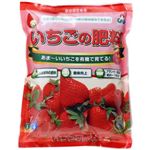 （まとめ買い）朝日工業 いちごの肥料 550g×13セット