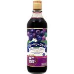 （まとめ買い）野田ハニー ブルーベリー果汁100%ジュース 500ml×4セット