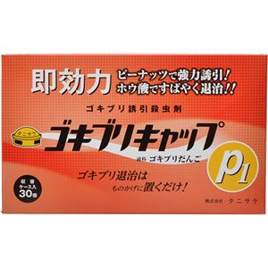 （まとめ買い）ゴキブリキャップP1 30個入×2セット