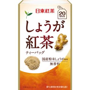 （まとめ買い）日東紅茶 しょうが紅茶 ティーバッグ 20袋(2.2g×20袋)×12セット