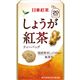 (まとめ買い)日東紅茶 しょうが紅茶 ティーバッグ 20袋(2.2g×20袋)×12セット