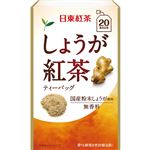 （まとめ買い）日東紅茶 しょうが紅茶 ティーバッグ 20袋(2.2g×20袋)×12セット