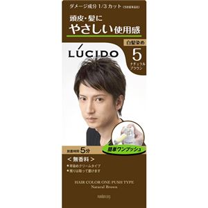 （まとめ買い）ルシード ワンプッシュケアカラー ナチュラルブラウン×4セット