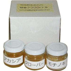 （まとめ買い）山本農園 自然の風味そのまま蜂蜜アラカルトBセット 50g×3種(アカシア/クローバー/モチノキ)×2セット