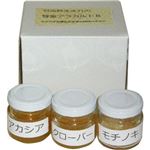 （まとめ買い）山本農園 自然の風味そのまま蜂蜜アラカルトBセット 50g×3種(アカシア/クローバー/モチノキ)×2セット