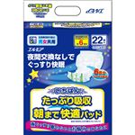 （まとめ買い）エルモア いちばん たっぷり吸収朝まで快適パッド 男女共用 6回吸収 22枚入×3セット