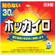 ホッカイロ 貼らない レギュラー 30個入