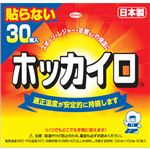 ホッカイロ 貼らない レギュラー 30個入